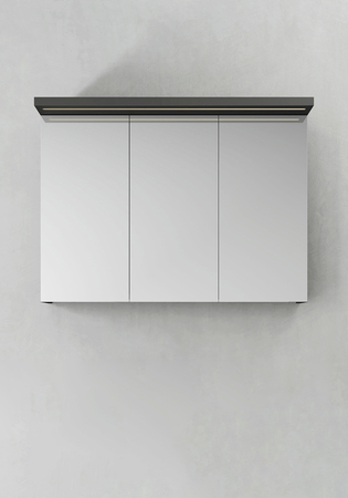 Mirror Cabinet Store Ledprofile Anthracite 1000