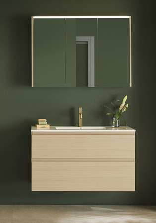Under Cabinet Go Plus Light Oak 1000 With Basin