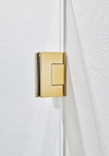 SHOWER DOOR INFINITY 100 BRASS