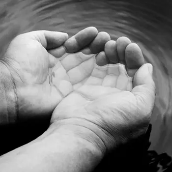 Hafa hands and environment