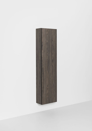 High Cabinet Style Compact Brown Oak