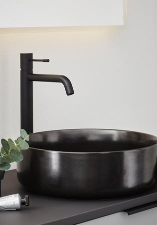 Basin Mixer Fine High Black