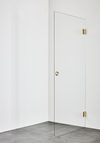SHOWER DOOR INFINITY 100 BRASS