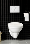 WALL HUNG TOILET